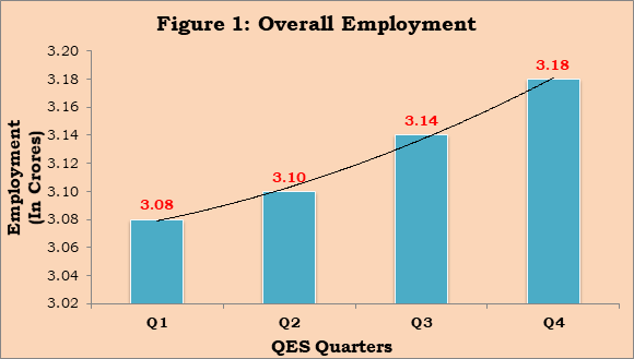 Employment Data of Burrow's
